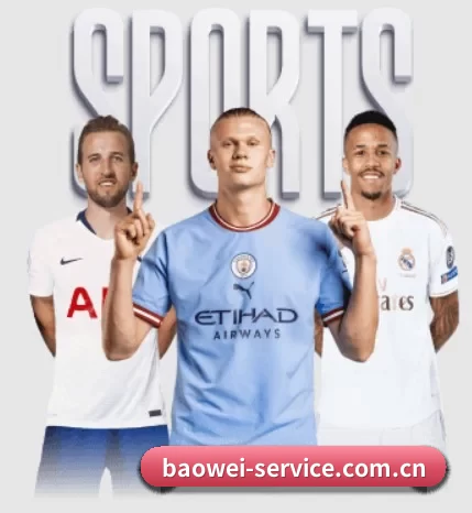 宝威围绕看球场景设计的核心服务